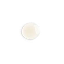 Load image into Gallery viewer, nangai-oil