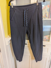 Load image into Gallery viewer, Patagonia Blue Fleece Jogger Pants M