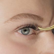 Load image into Gallery viewer, lashsense-lashes-bloom-box
