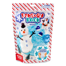 Load image into Gallery viewer, Sensory Pack Winter and Holiday Play Kit
