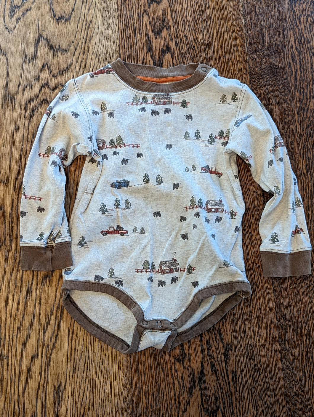 Gymboree Party Bison and Truck size 2T