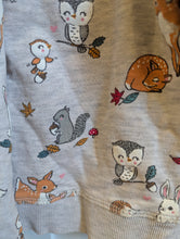 Load image into Gallery viewer, H&amp;M Woodland Animal Outfit 9-12m
