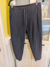 Load image into Gallery viewer, Patagonia Blue Fleece Jogger Pants M
