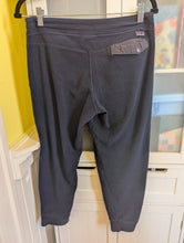 Load image into Gallery viewer, Patagonia Blue Fleece Jogger Pants M
