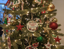 Load image into Gallery viewer, Hens &amp; Chicks Ornaments
