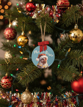 Load image into Gallery viewer, Hens &amp; Chicks Ornaments
