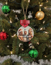 Load image into Gallery viewer, Hens &amp; Chicks Ornaments
