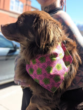 Load image into Gallery viewer, Dog Bandana
