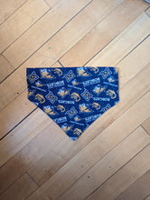 Load image into Gallery viewer, Dog Bandana
